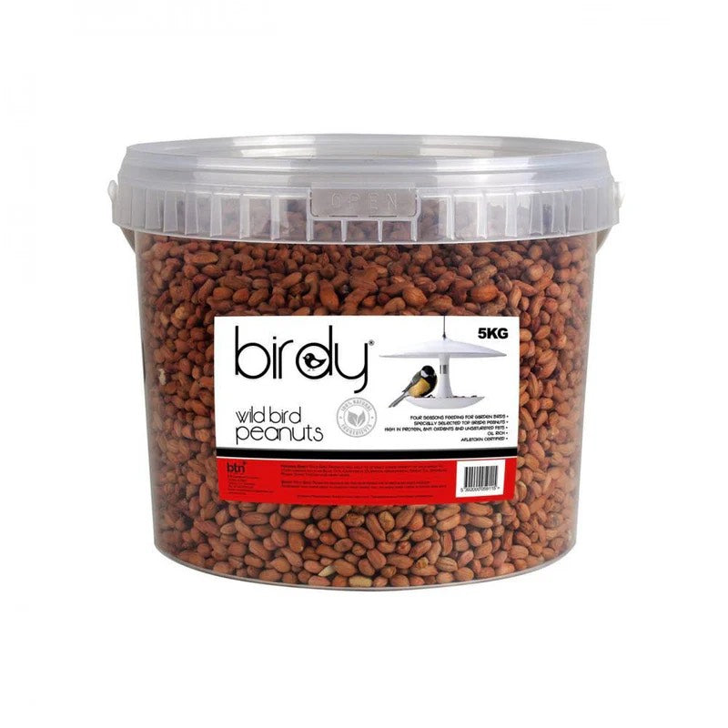 Birdy wild bird peanuts